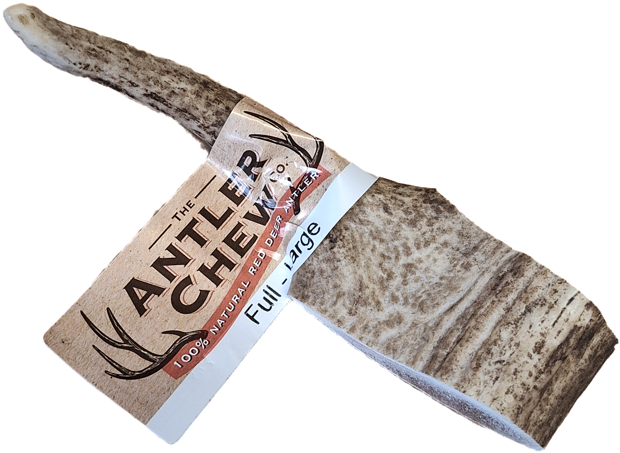 Full Antler Large Large