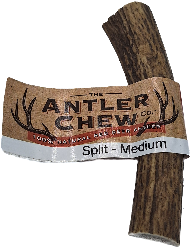 Split Antler Easy Fat Medium