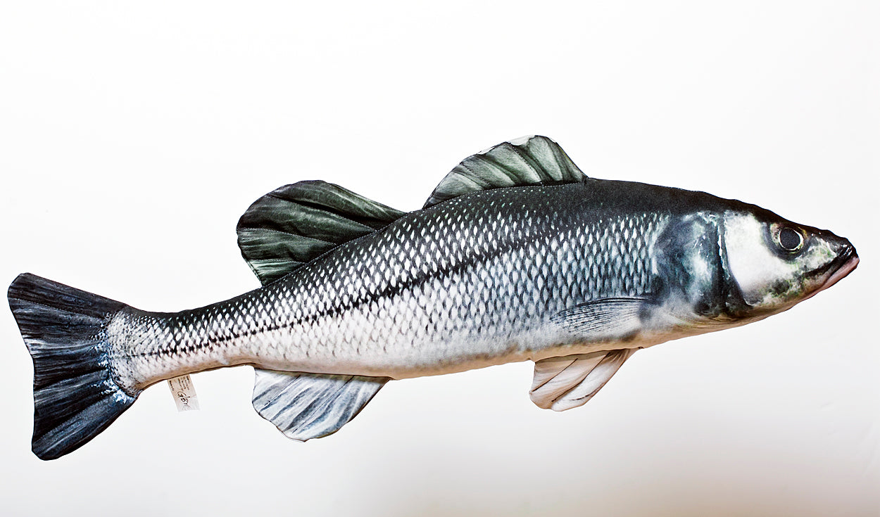The European Sea Bass medium - pillow 70cm
