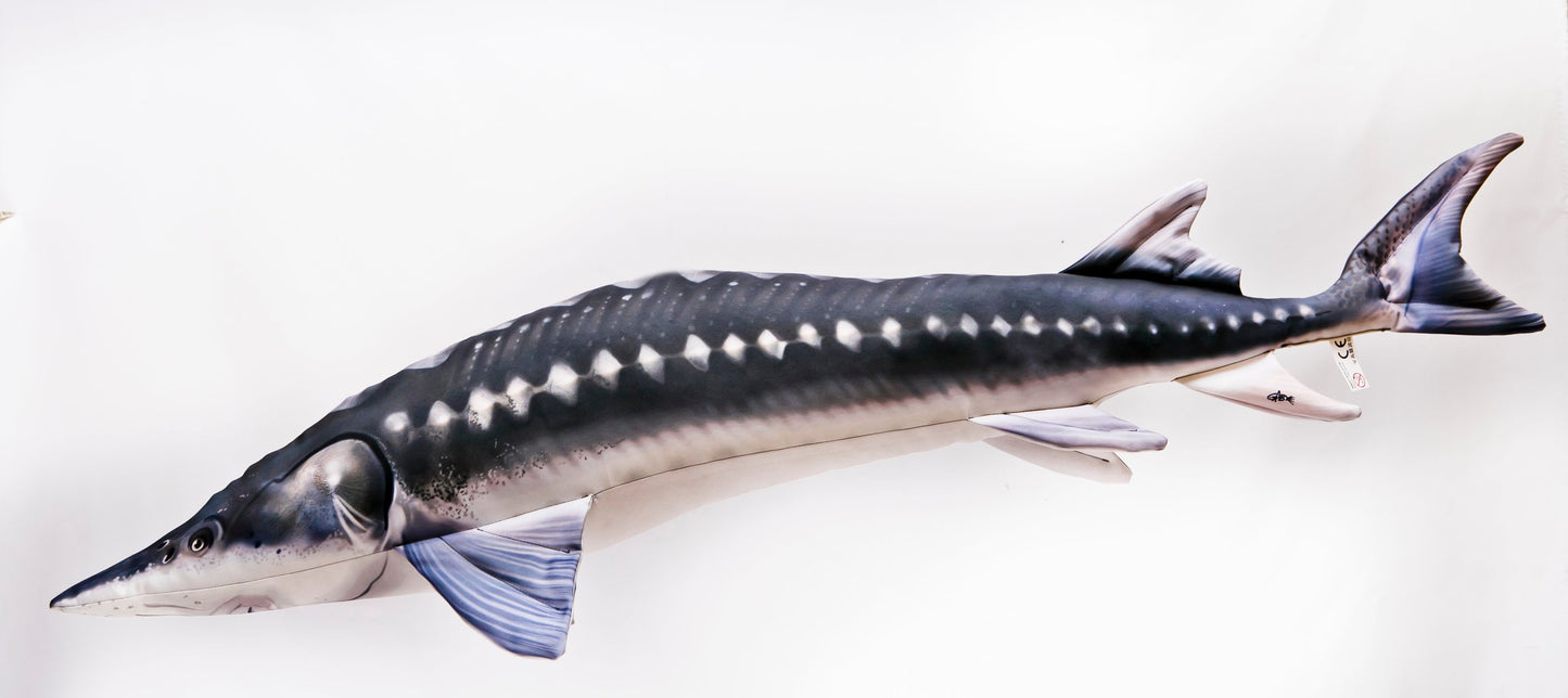 The Monster Sturgeon - pillow 200cm