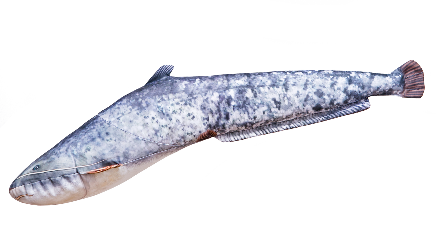 The Catfish - pillow 62cm