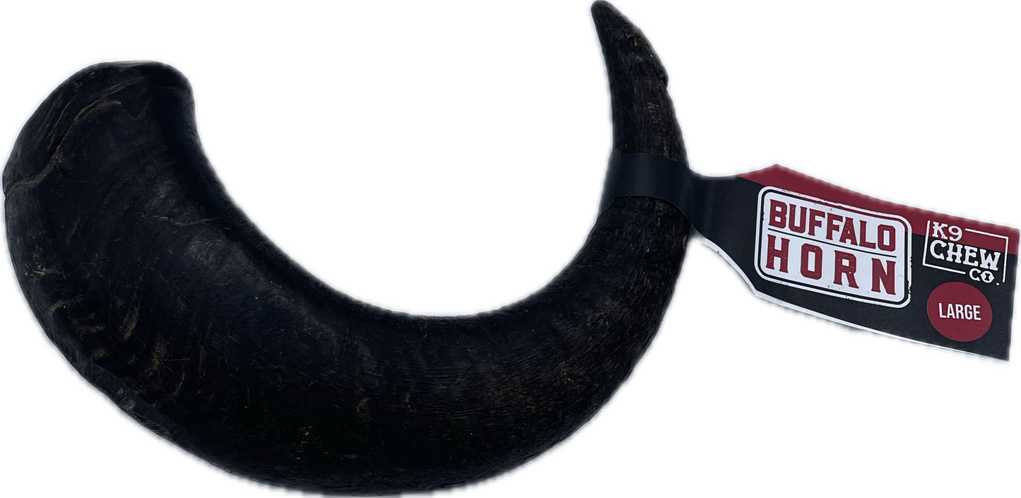 Buffalo Horn SINGLE