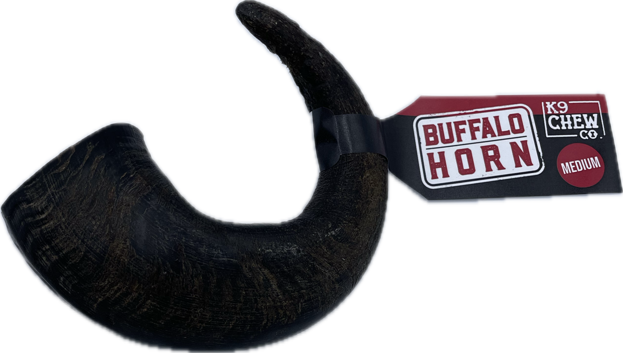 Buffalo Horn SINGLE
