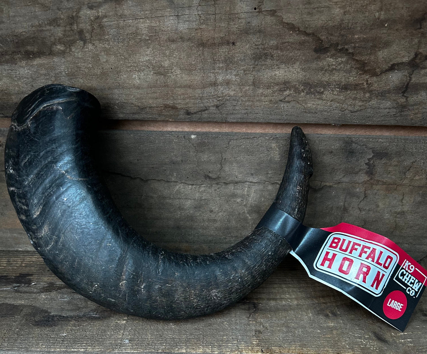 Buffalo Horn SINGLE