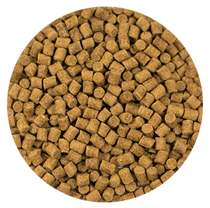 Skretting Coarse Fish 2.3mm 25kg