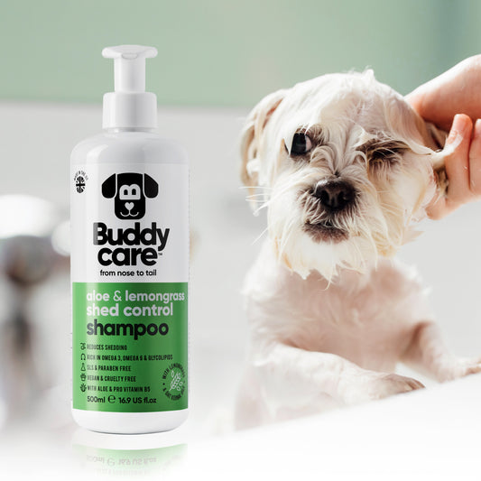 Buddycare Shampoo Shed Control 500ml