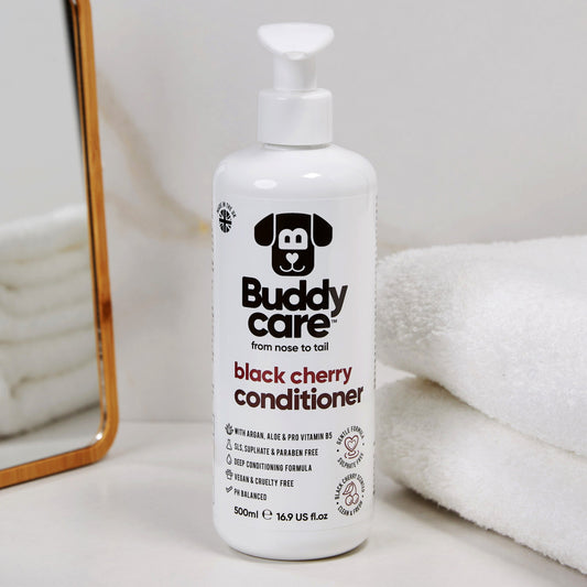 Buddycare Condition Black Cherry 500ml