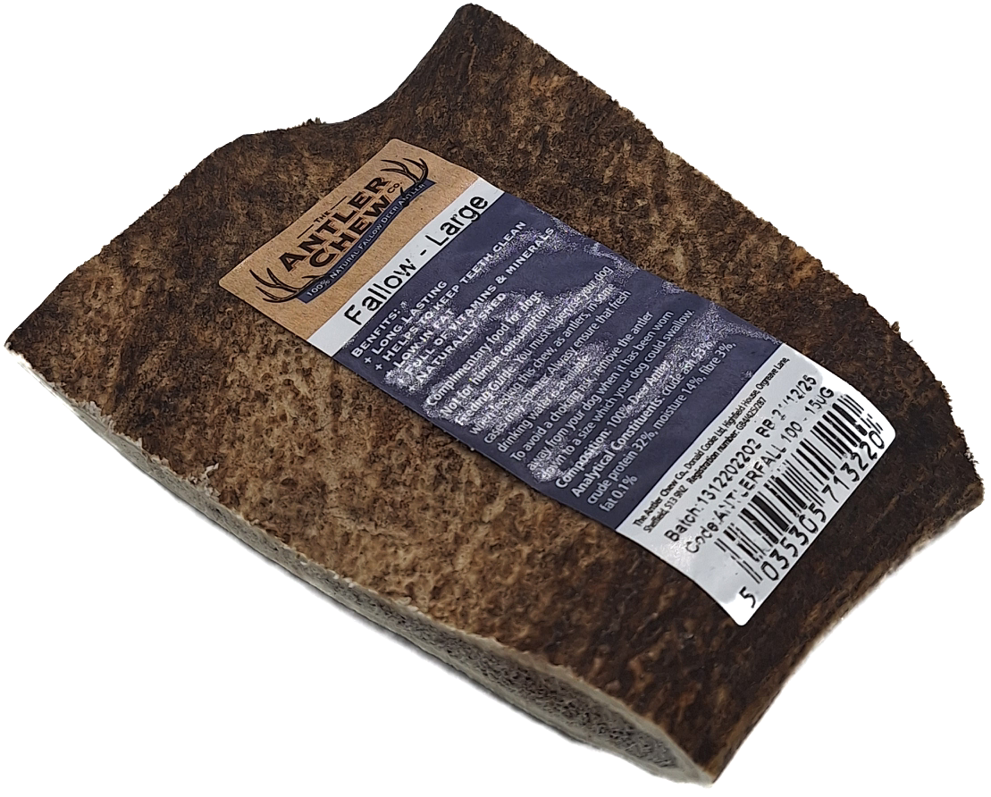 Fallow Antler Large Large