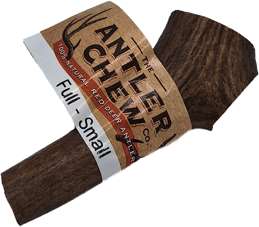 Full Antler Large Small