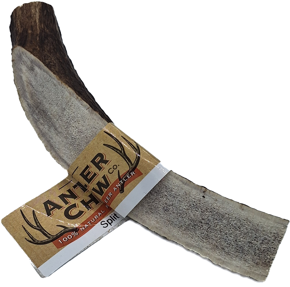 Split Antler Easy Fat XL