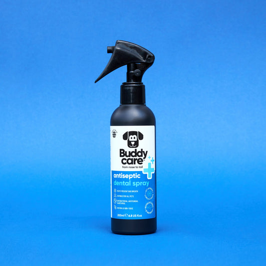 Buddycare Antiseptic Spray Dental 200ml