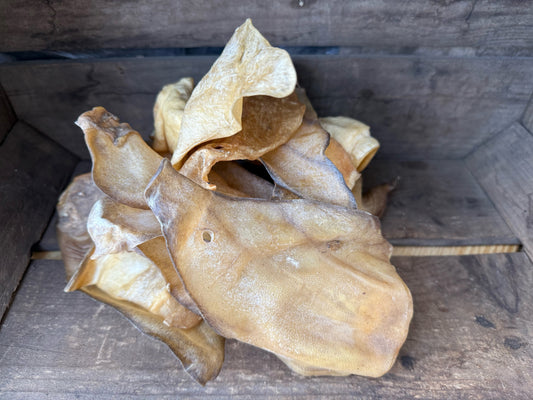 Plain Buffalo Ears x 50