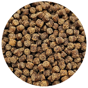 Carp Maint COMPLIMENTAIRE 24 7mm 25kg