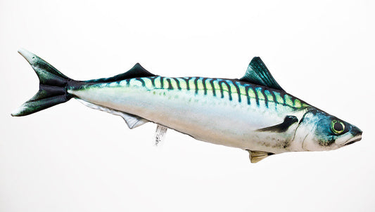 The Atlantic Mackerel medium - pillow 60cm