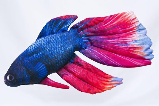 The Siamese Fighting Fish - pillow 53cm