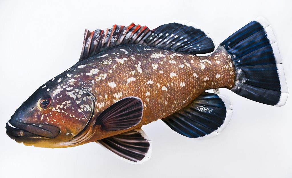 The Dusky Grouper giant - pillow 110cm