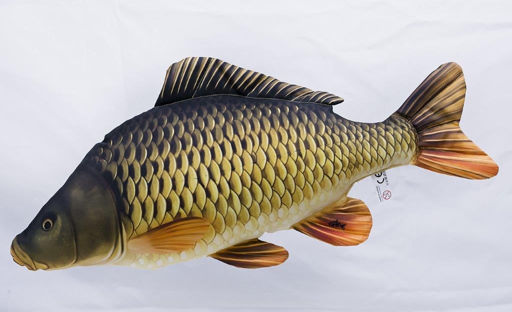 The Common Carp med - pillow 64cm