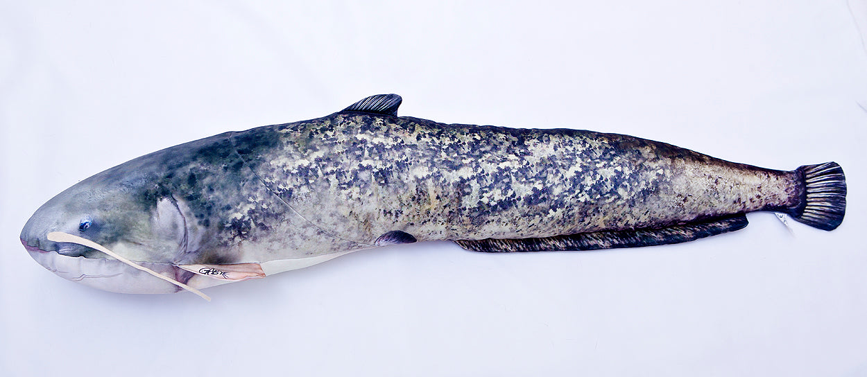 The Monster Catfish - pillow 200cm
