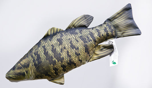 The Smallmouth Bass  - pillow 67cm