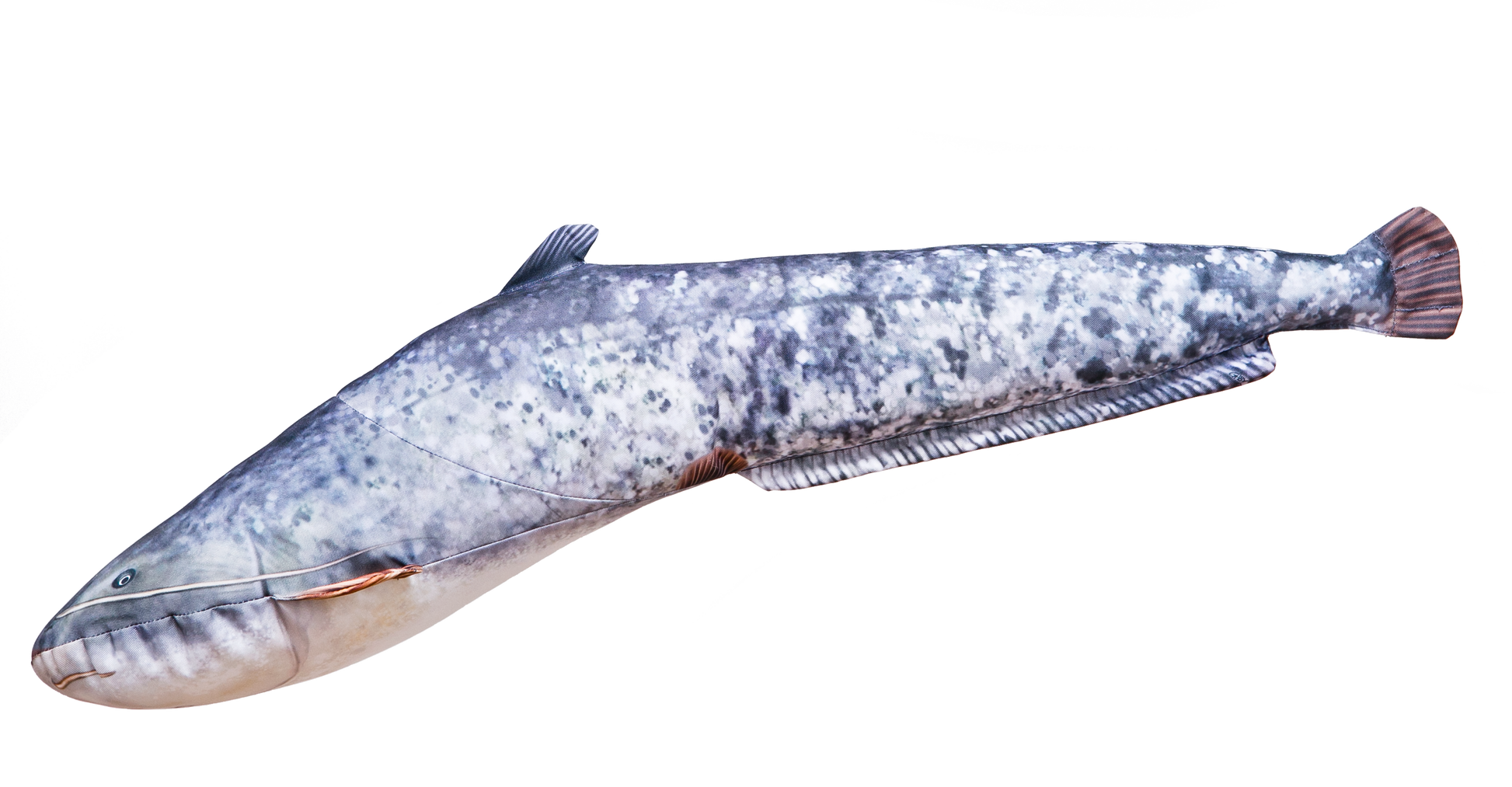 The Catfish - pillow 62cm
