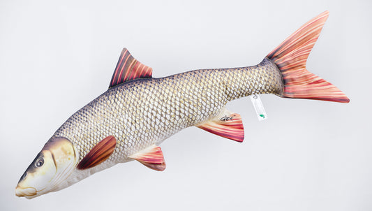 The Barbel - pillow 83cm