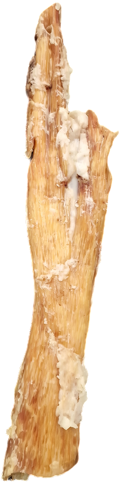 Giant Paddywhack 3kg