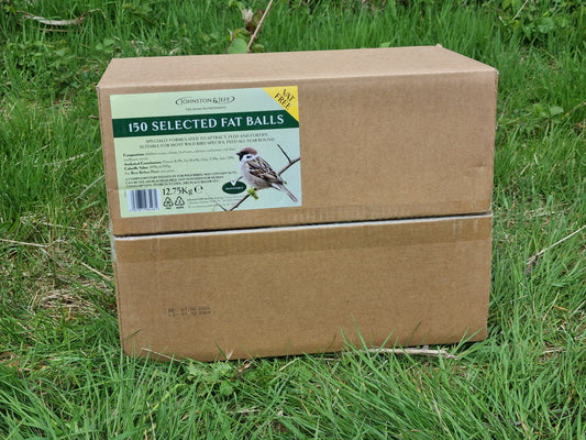 Fat Balls Small 150 pack